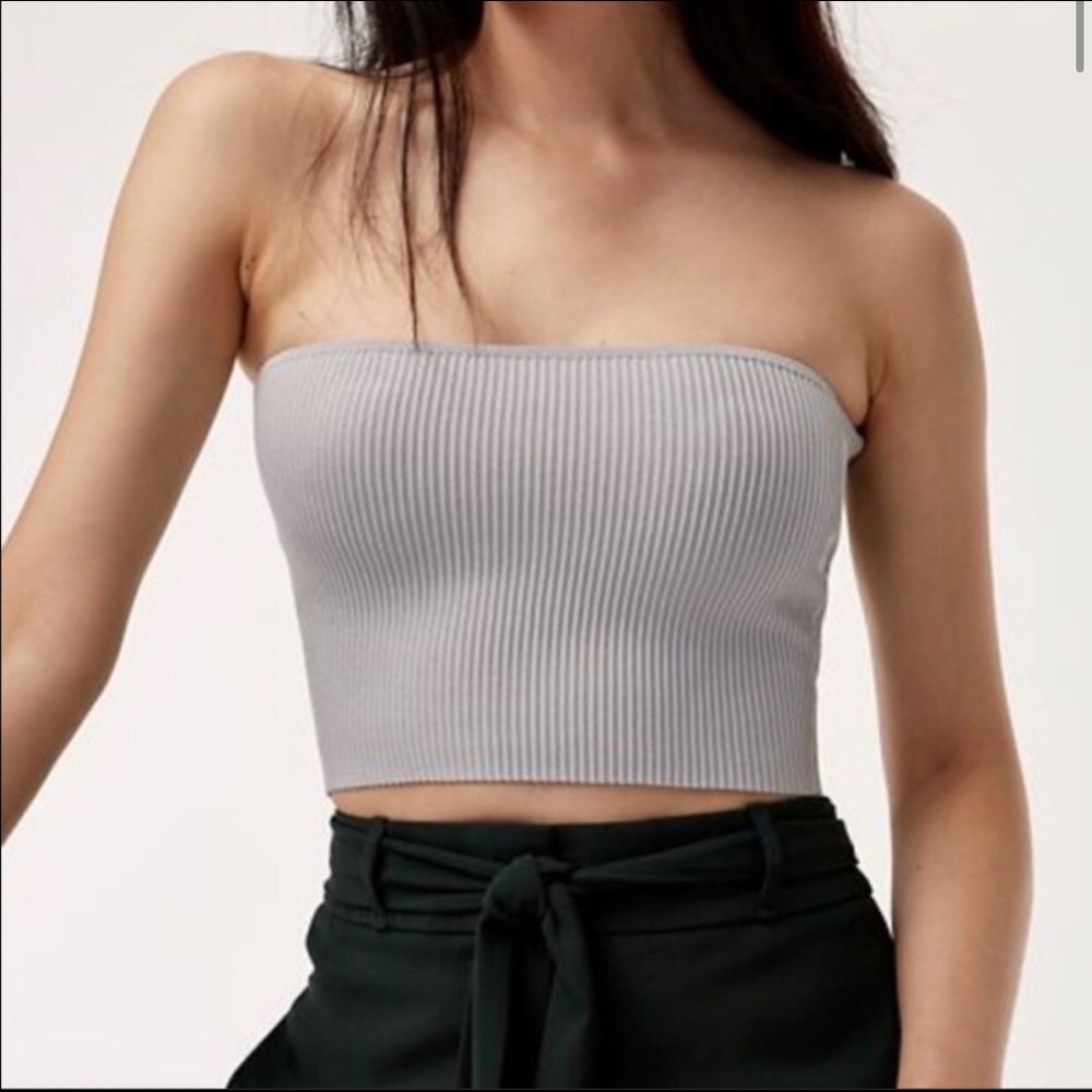 Aritzia babaton gray sculpt knit tube top